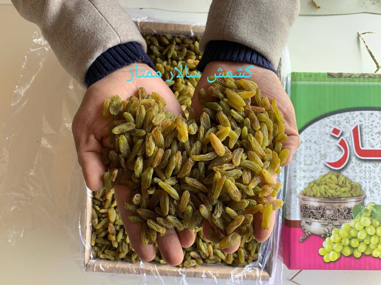 تصویر 3 از خرید کشمش سبز صادراتی