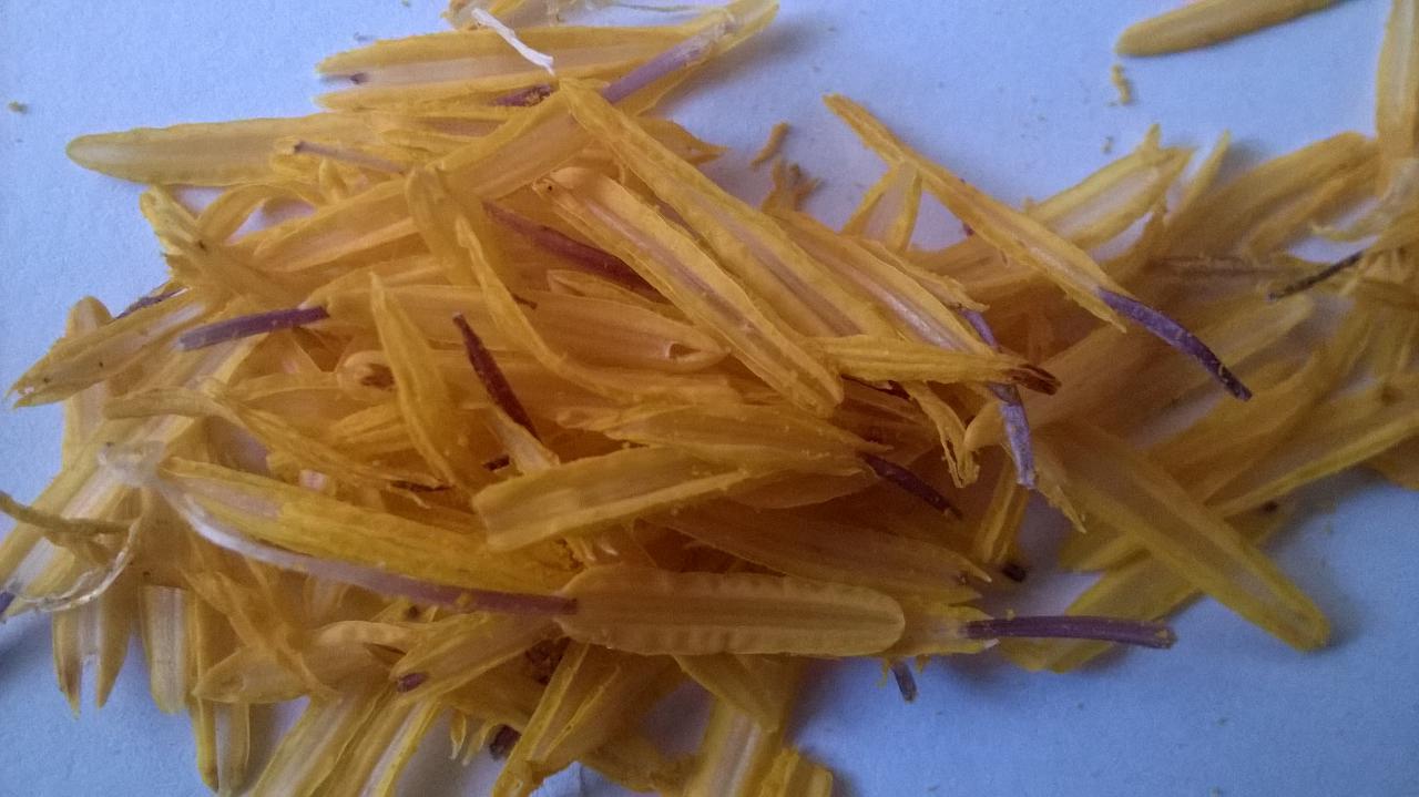 تصویر 1 از خرید و قیمت زردک زعفران + فروش عمده