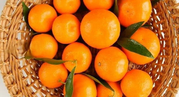 تصویر 4 از قیمت خرید نارنگی انشو توپر اعلا عمده به صرفه و ارزان