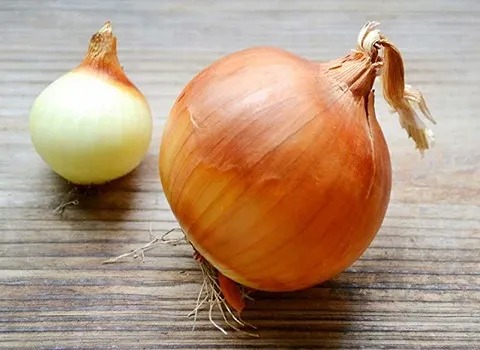 تصویر 4 از پیاز زرد شیرین  + خرید