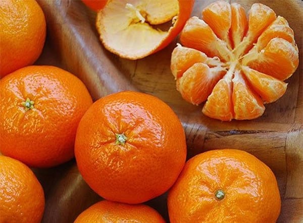 تصویر 3 از خرید و قیمت نارنگی یافا اعلا + فروش عمده