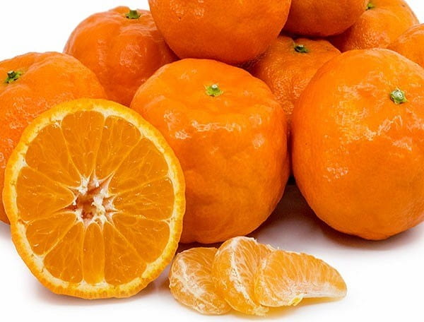 تصویر 2 از خرید نارنگی یافا شمال + قیمت فروش استثنایی