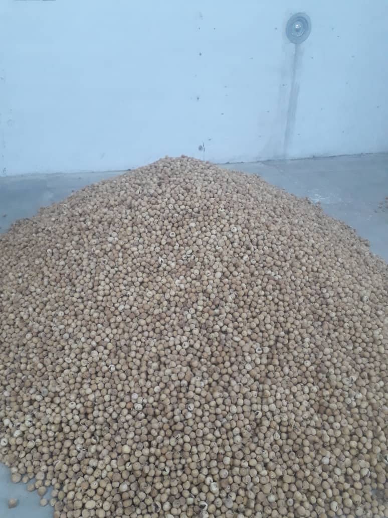 تصویر 3 از خرید انجیر خشک ممتازه استهبان