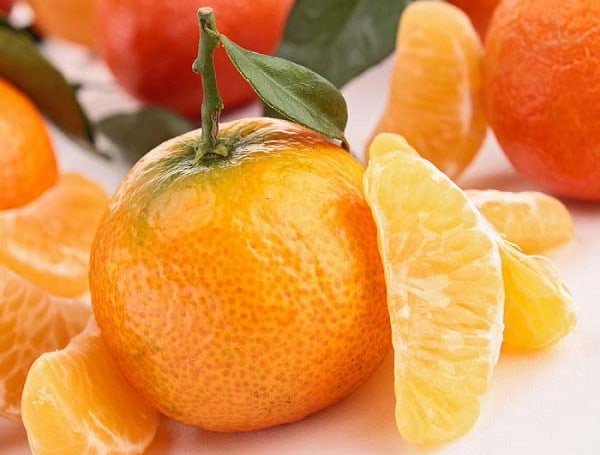 تصویر 3 از قیمت خرید نارنگی محلی مازندران + فروش ویژه
