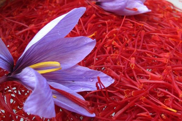 تصویر 4 از قیمت روز زعفران نرمه قائنات مشهد