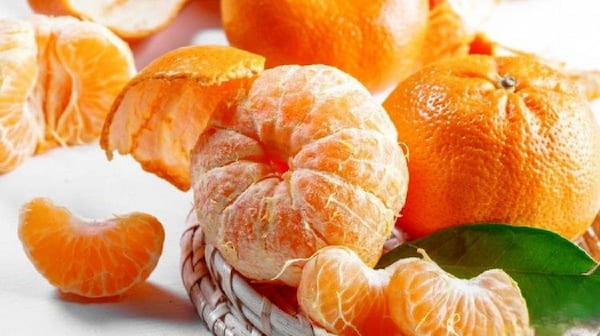 تصویر 5 از خرید و قیمت نارنگی یافا اعلا + فروش عمده