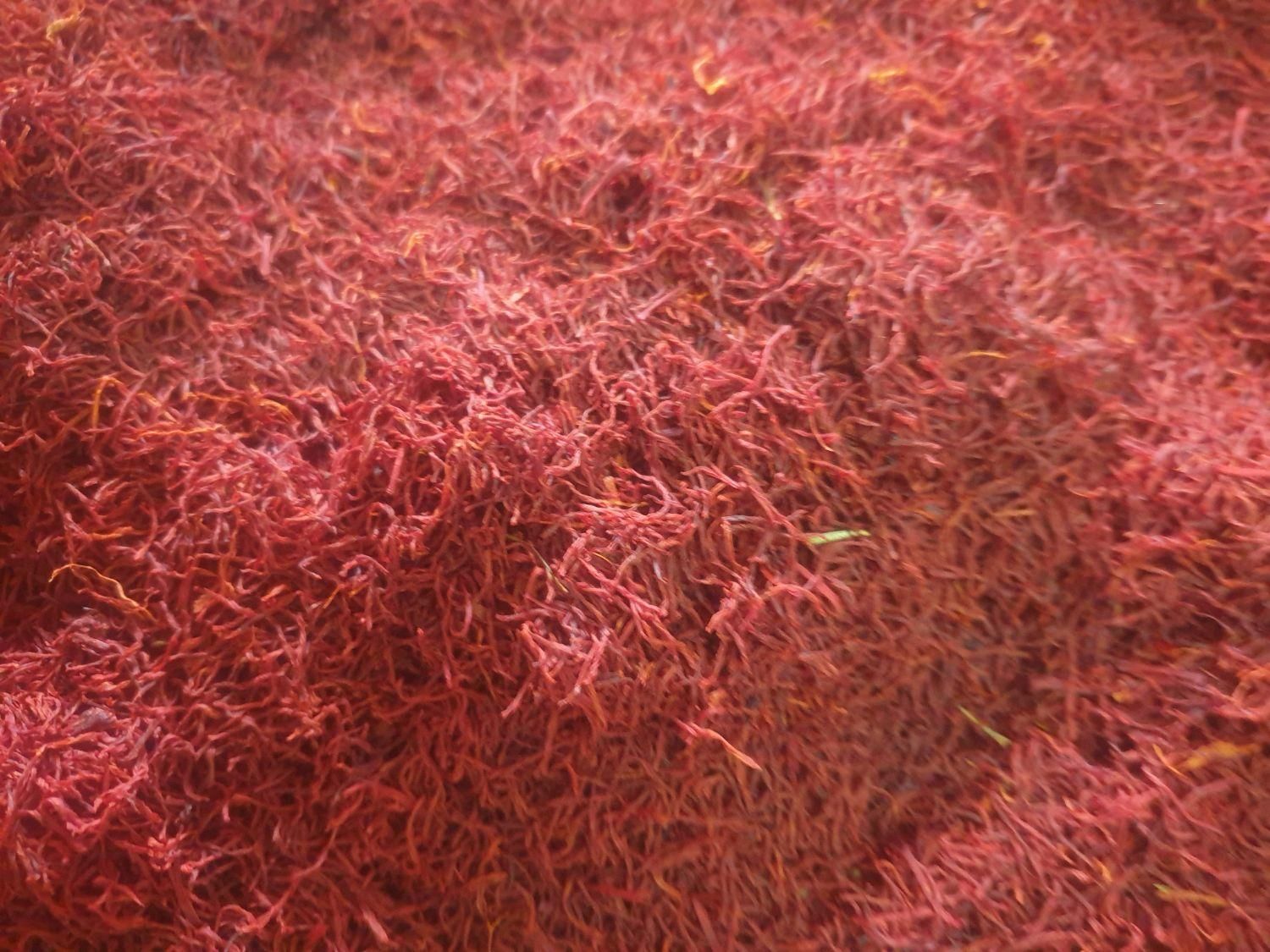 تصویر 2 از راهنمای خرید زعفران نرمه بوری + قیمت عالی