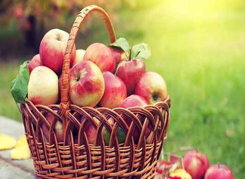 تصویر 2 از قیمت سیب گلاب نرم با کیفیت ارزان + خرید عمده