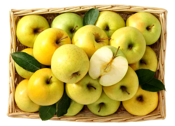 فروش سیب لبنانی