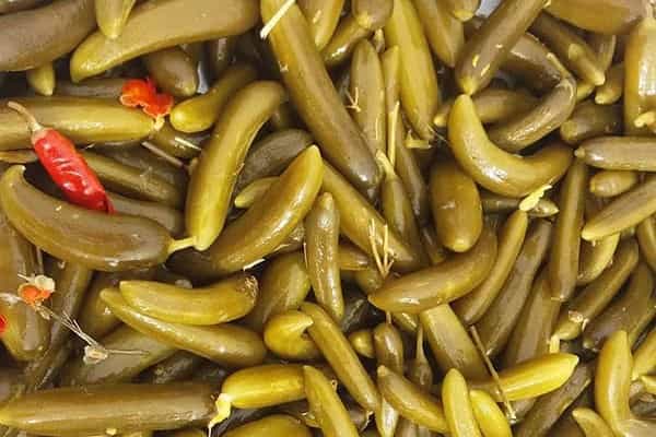 تصویر 3 از راهنمای خرید خیارشور دبه ای + قیمت عالی