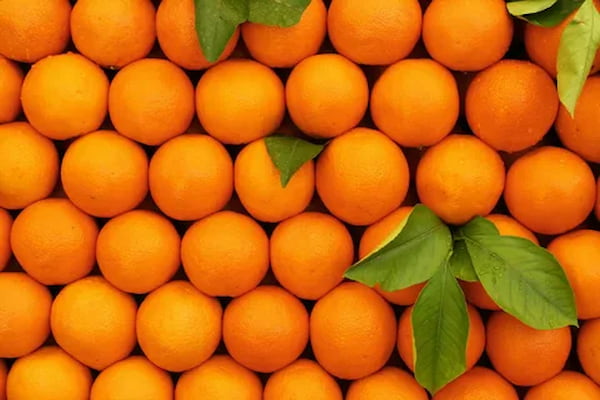 تصویر 1 از فروش نارنگی پیج مازندران + قیمت خرید به صرفه