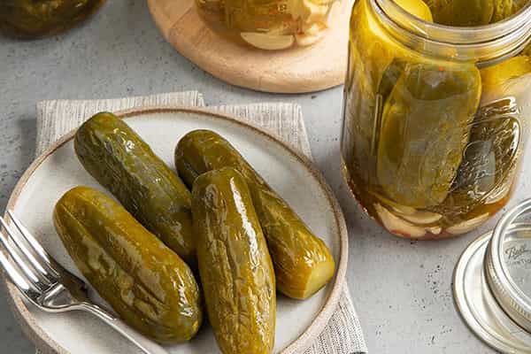 تصویر 2 از بهترین خیارشور تخمیری + قیمت خرید عالی