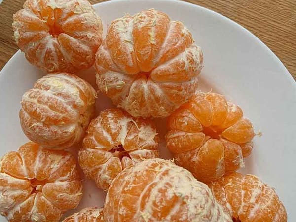 تصویر 3 از خرید جدیدترین انواع نارنگی سیاهو هرمزگان