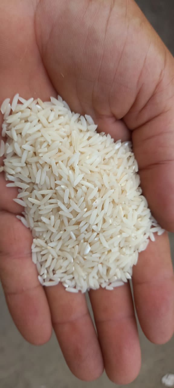 تصویر 1 از قیمت فروش برنج عنبر بو درجه یک شوشتر + برند وحدت