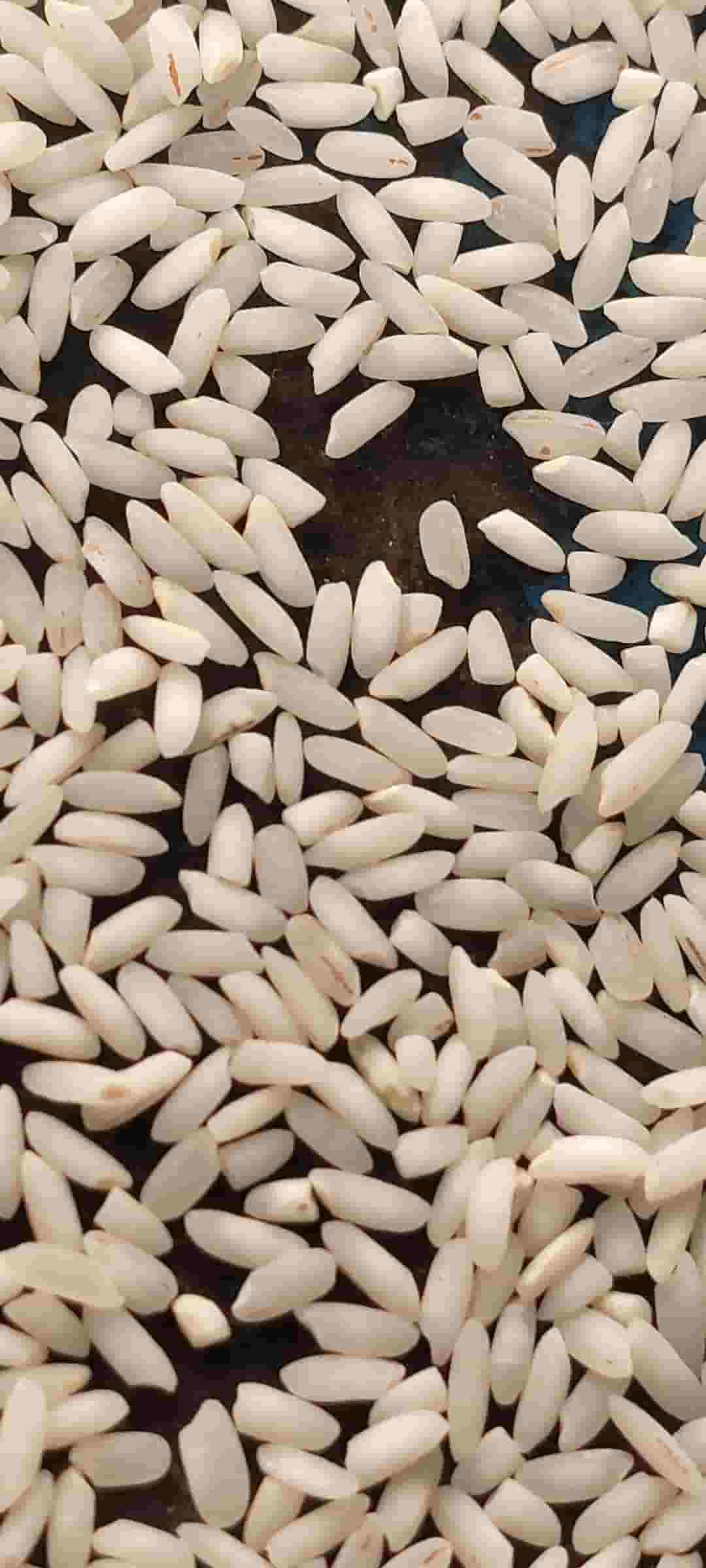 تصویر 7 از قیمت خرید برنج عنبر بوی شوشتر درجه یک شاهانی