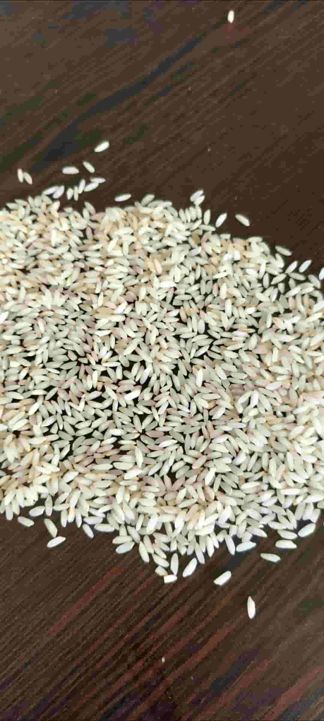 تصویر 5 از قیمت خرید برنج عنبر بوی شوشتر درجه یک شاهانی