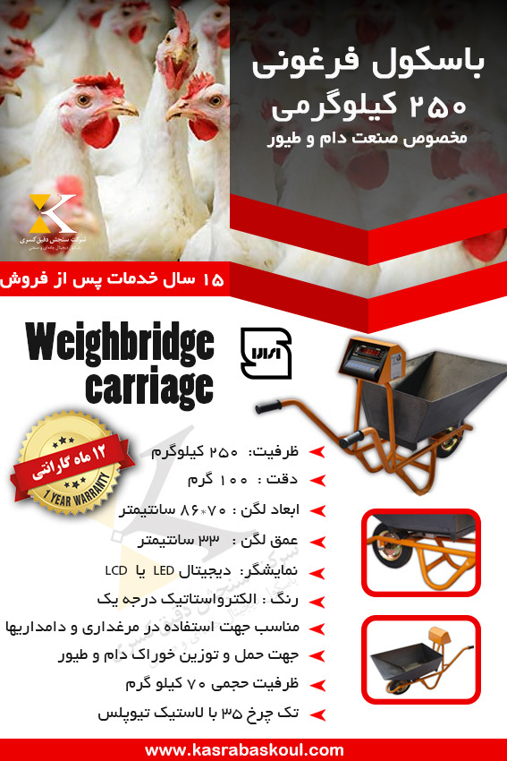 فروش باسکول فرقونی تک‌ چرخ ۲۵۰ کیلویی صنعتی