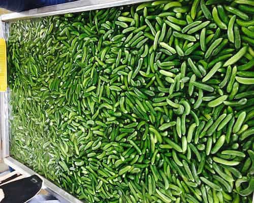 تصویر 2 از خرید و قیمت خیارشور فله بدون سبزی + فروش عمده
