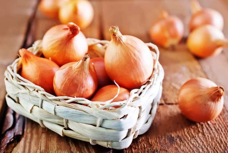 پیاز زرد دزفول + خرید