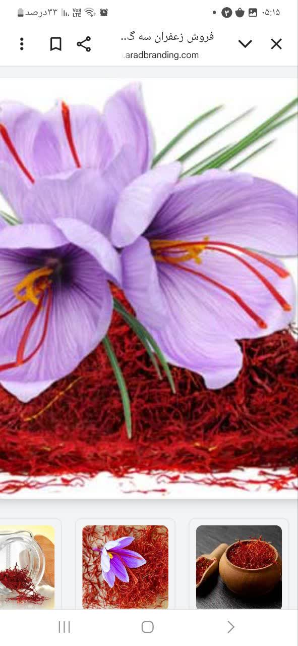 تصویر 2 از قیمت زعفران صادراتی بهسود
