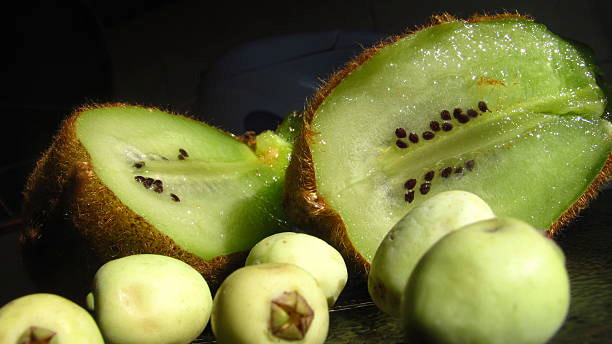 تصویر 2 از خرید کیوی سبز اعلا + قیمت فروش استثنایی