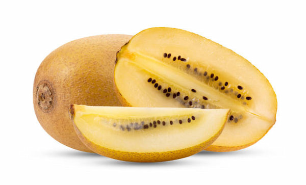قیمت روز کیوی تو زرد گیلان