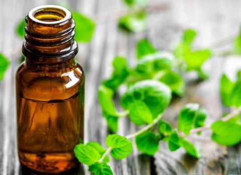 تصویر 3 از فروش عرق نعنای سنگین + صادرات