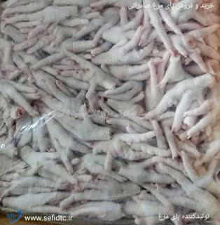 تصویر 3 از فروش پای مرغ باکیفیت