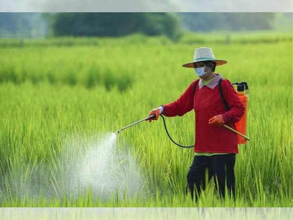 تصویر 4 از معرفی  سم پاش های کشاورزی دستی + بهترین قیمت خرید