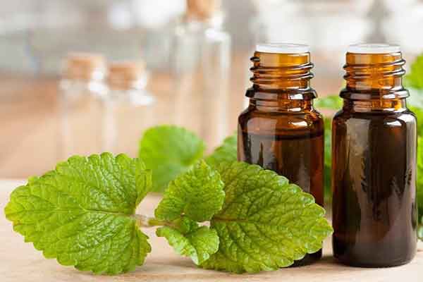 تصویر 4 از عرق نعنای دوآتشه معطر + قیمت استثنایی