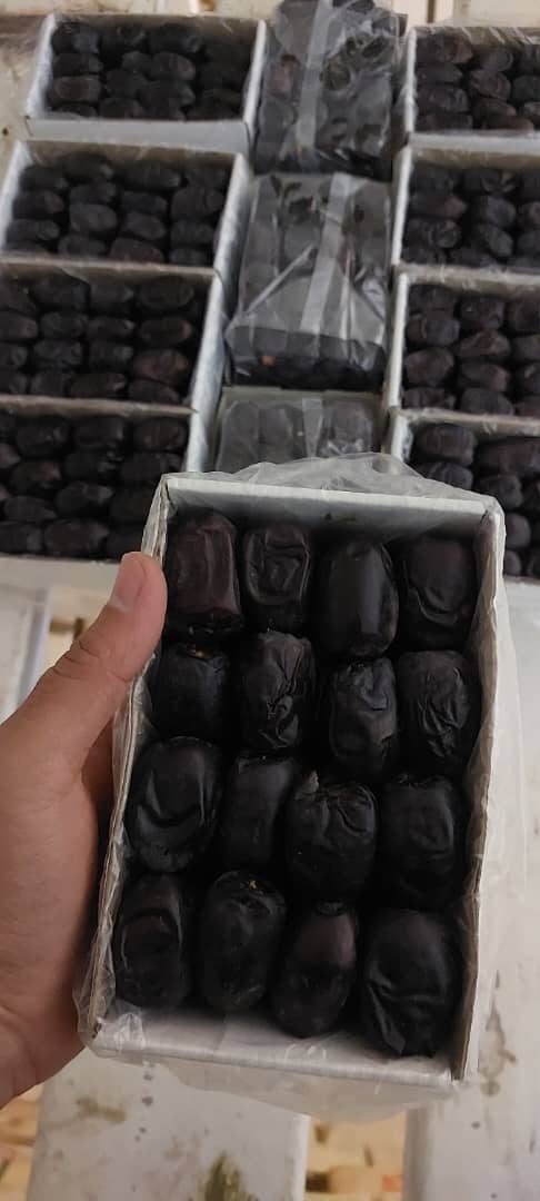 تصویر 2 از خرید عمده خرما مضافتی لوکس + قیمت تکرار نشدنی