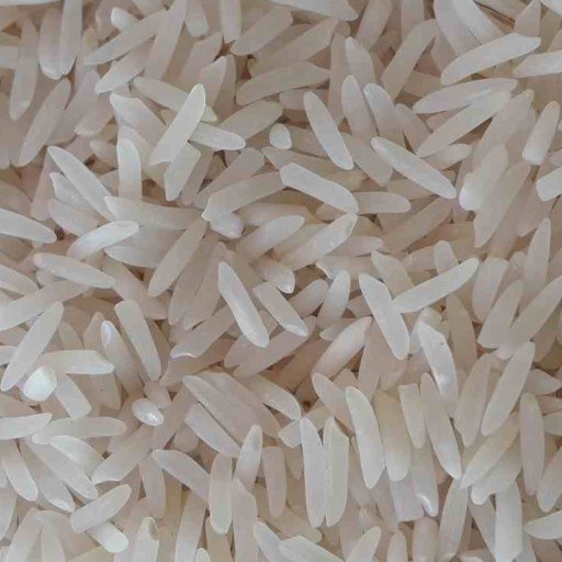 قیمت خرید برنج ندا + خرید عمده