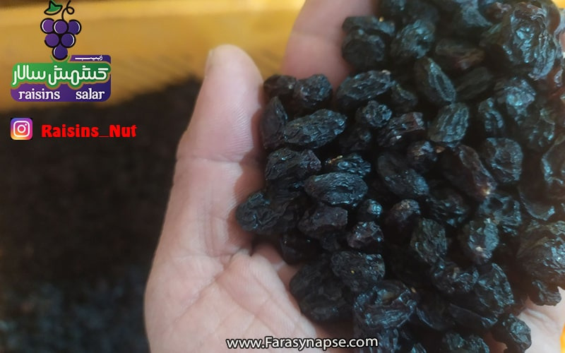 تصویر 1 از خرید مویز بدون هسته ارزان