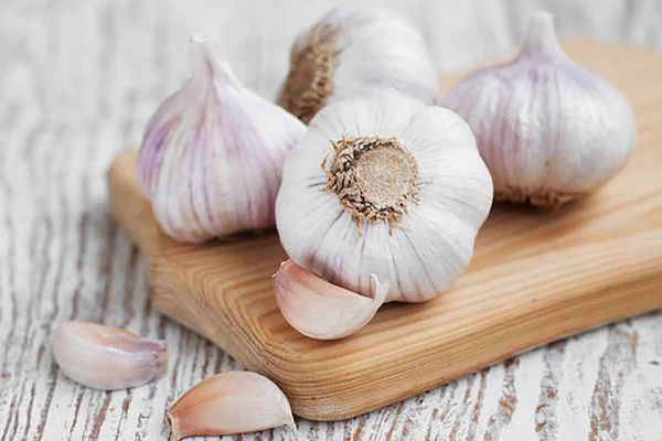 تصویر 3 از قیمت سیر سیاه کیلویی + خرید باور نکردنی