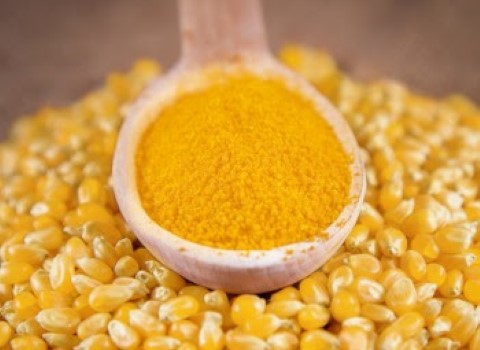 تصویر 1 از خرید گلوتن ویژه دام و طیور با بالاترین ارزش پروتئینی + ارسال فوری