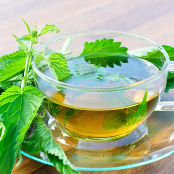 فروش عمده عصاره خوراکی گزنه مایع گرید ++A