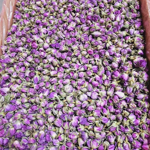 تصویر 1 از فروش غنچه گل محمدی رقم داراب شیراز