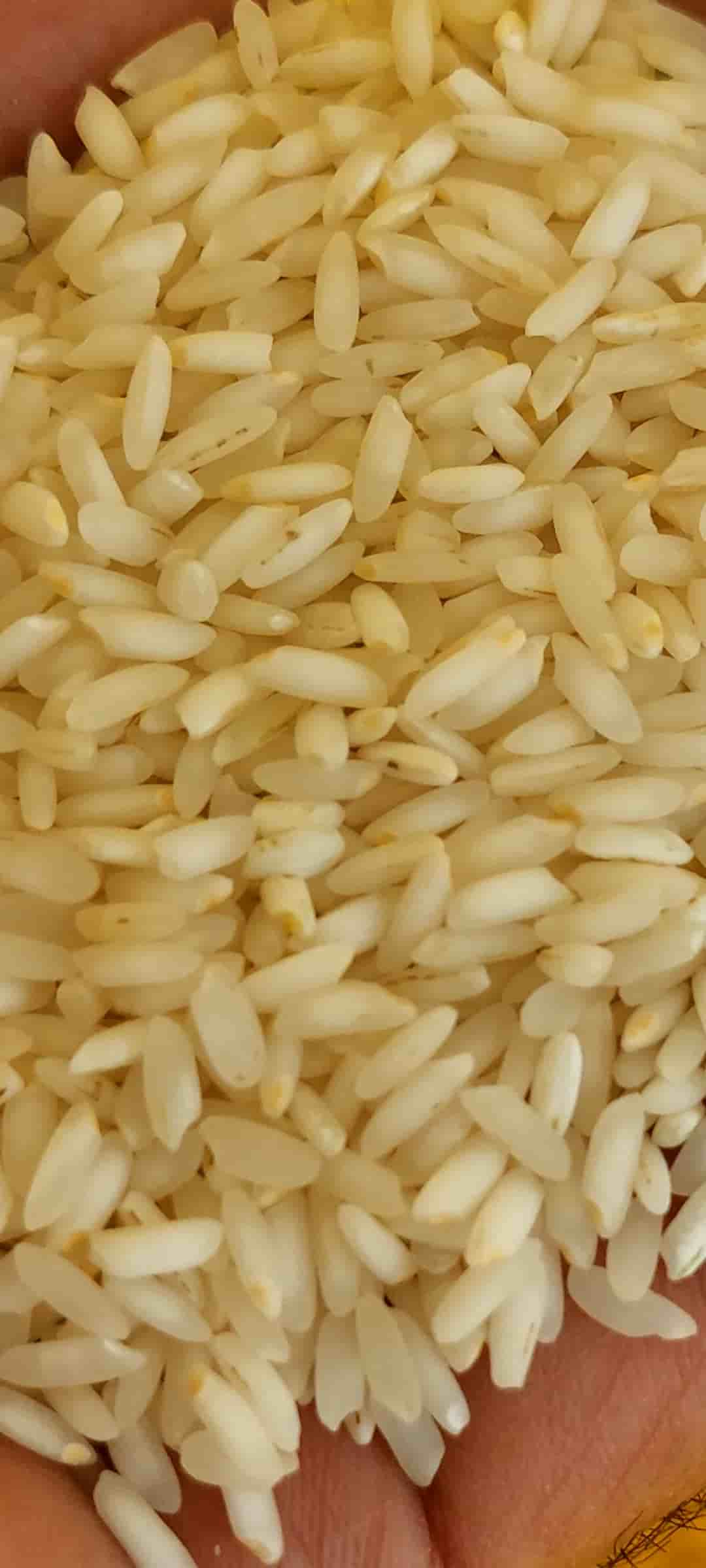 تصویر 6 از قیمت برنج عنبر بو درجه یک شوشتر