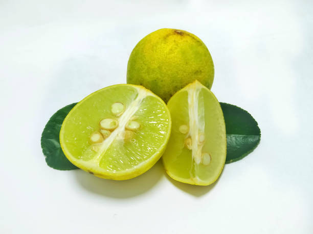 تصویر 5 از قیمت خرید لیمو ترش جنوب با فروش عمده