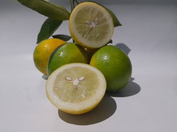 تصویر 2 از قیمت خرید لیمو ترش چهارفصل جهرم عمده به صرفه و ارزان