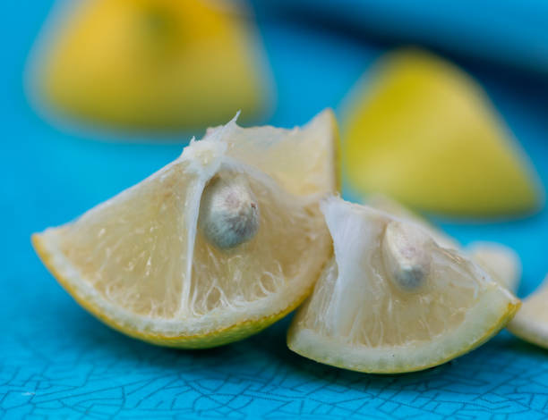 تصویر 5 از معرفی لیمو شیرین پیوندی + بهترین قیمت خرید