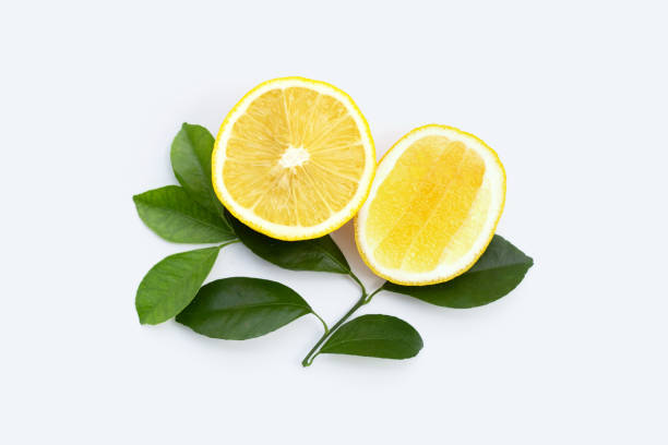 تصویر 4 از قیمت لیموشیرین جنوب درجه یک + پخش تولیدی عمده کارخانه