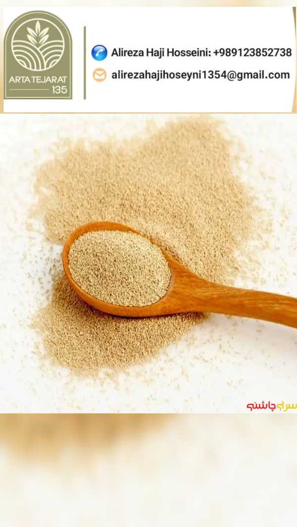 تصویر 4 از خرید عمده خمیر مایه ناب + کیفیت عالی