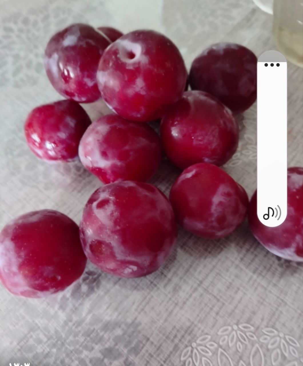 تصویر 3 از قیمت خرید آلوسیاه محلی