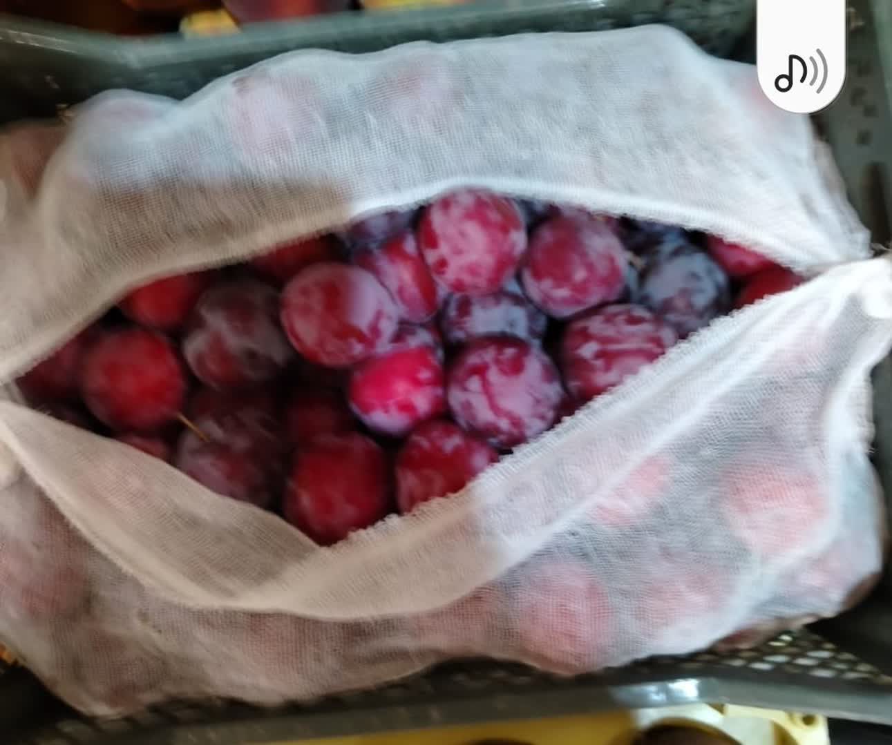 تصویر 2 از قیمت خرید آلوسیاه محلی