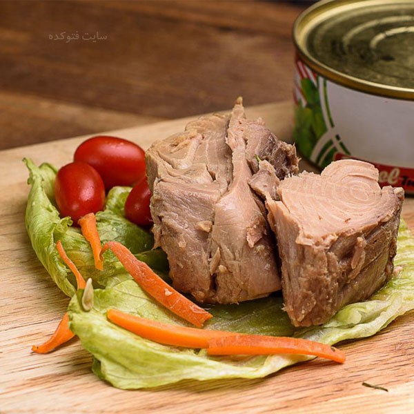 تصویر 6 از قیمت کنسرو ماهی 180 گرمی درجه 1 + شرایط ویژه فروش عمده