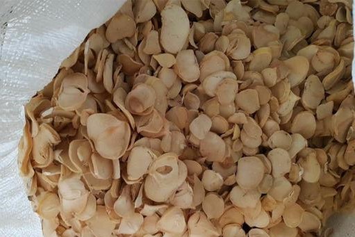 تصویر 4 از خرید عمده پلاک موسیر + خرید به صرفه