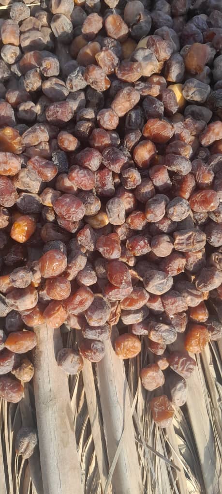 تصویر 2 از قیمت ویژه خرما خشک + قیمت فروش