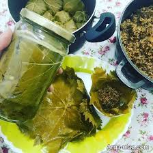 تصویر 4 از برگ مو زمستونی + برگ دلمه