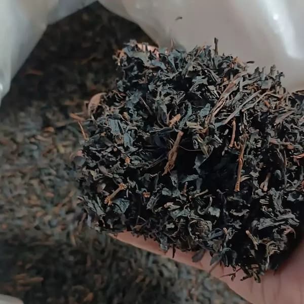 تصویر 5 از قیمت خرید چای ایرانی شکسته عمده به صرفه و ارزان